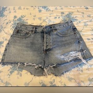 AGOLDE Parker Shorts